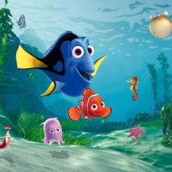 Cute 3D Finding Dory Wallpapers Wallpapers