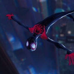 SpiderMan Into The Spider Verse 4k, HD Movies, 4k Wallpapers, Image