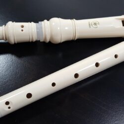 Instrument of torture? In defence of the recorder