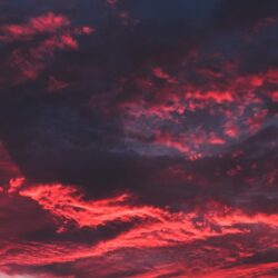 Download wallpapers colorful, clouds, sunset, dark, tree