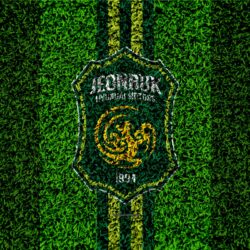 Download wallpapers Jeonbuk Hyundai Motors FC, 4k, logo, grass