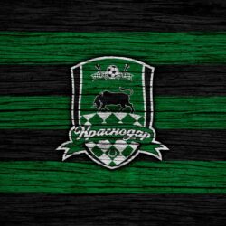 Logo, Emblem, FC Krasnodar, Soccer wallpapers and backgrounds