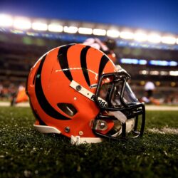 CINCINNATI BENGALS nfl football rq wallpapers