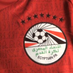 Egypt National Football Shirt/Jersey by Puma