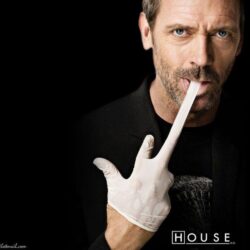 House MD : Desktop and mobile wallpapers : Wallippo