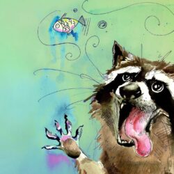 108 Raccoon HD Wallpapers Desktop Backgrounds