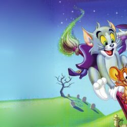 Tom and Jerry Wallpapers : Wallpapers13