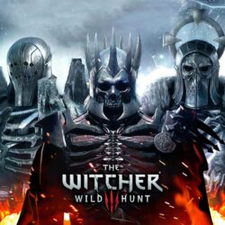The Witcher 3: Wild Hunt warriors wallpapers