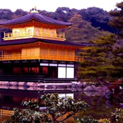 Golden Pavilion Kyoto Japan