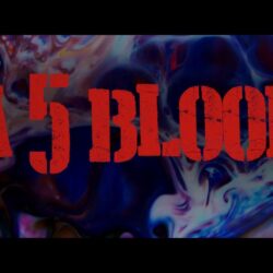 DA 5 BLOODS