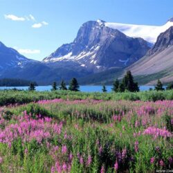 Desktop Wallpapers » Natural Backgrounds » Bow Lake, Canadian