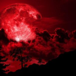 Red Full Moon Wallpapers