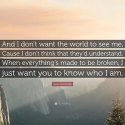 Goo Goo Dolls Quote: “And I don’t want the world to see me, Cause I