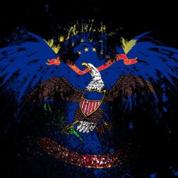 eagles hawk flags usa north dakota state wallpapers High