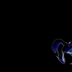 pokemon lugia black backgrounds wallpapers High Quality