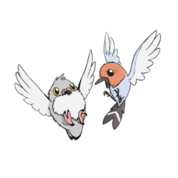 Fletchling and Pidove by Huntclaw