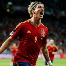 fernando torres on field wallpapers Car Pictures