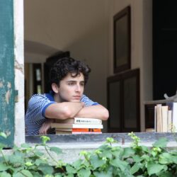 Wallpapers Call Me by Your Name, Timothee Chalamet, 5k, Movies