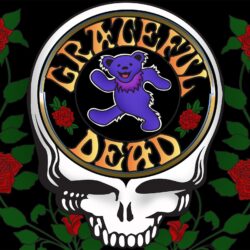 music, rock, dead, Country, psychedelic, reggae, bands, roses