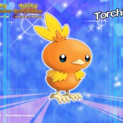 Torchic Wallpapers at Wallpaperist