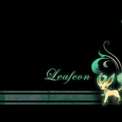 Leafeon Plant Wallpapers by Wild