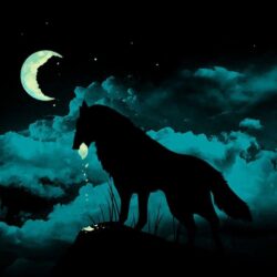 Wolf Howling at the Red Moon Wallpapers