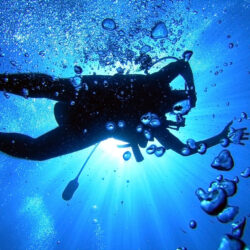 Scuba diving HD Wallpapers