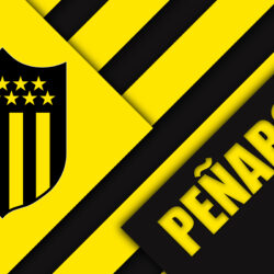 Download wallpapers Club Atletico Penarol, 4k, Uruguayan football