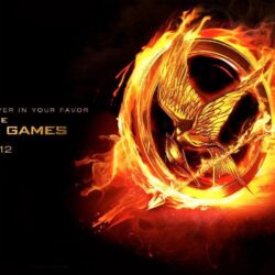 The Hunger Games Wallpapers