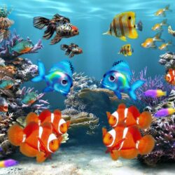 Live aquarium wallpapers Group
