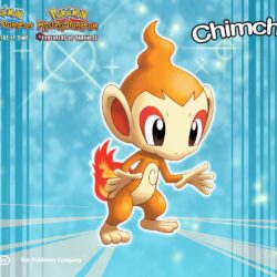 Chimchar Wallpapers