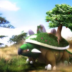 9 Torterra