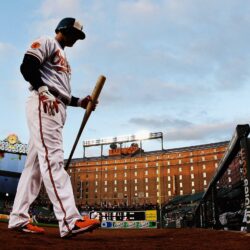 Baltimore Orioles Wallpapers for Computer
