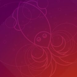 Ubuntu 18.10’s New Wallpapers is Cosmically Cute