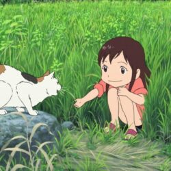 Animation Drama Family Wolf Children wallpapers