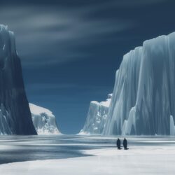 Frozen Antarctica and penguin Wallpapers – Travel HD Wallpapers