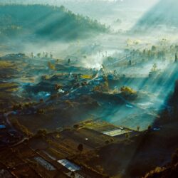 Wallpapers : , Bali, field, Indonesia, landscape, mist