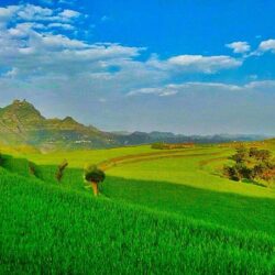 Mountains: Yemen Ibb Green Mountains Nature Arabia Fields