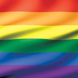 Flag Rainbow Gay Pride Photo Wallpapers Mural