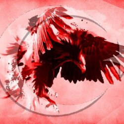 Eagle, the Turkish flag wallpapers and image