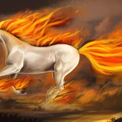 Unicorn wallpapers and image wallpapers pictures photos