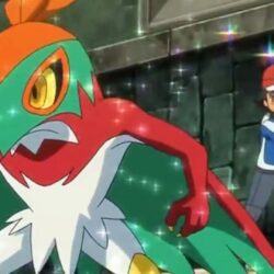 05 Pokemon X and Y Episode 44 Ash Hawlucha VS Koruni Lucario Mega