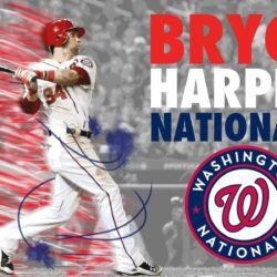 Washington Nationals Wallpapers 245539