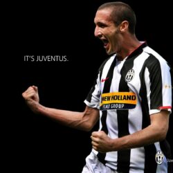 The Best Footballers: Giorgio Chiellini desktop wallpapers