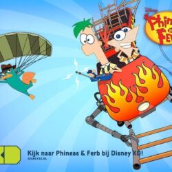 Download Phineas and Ferb Wallpapers for android, Phineas and Ferb