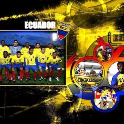 National Ecuador Football Team Fifa 2014 Wallpapers 4370 High