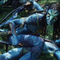 Original Avatar HD Wallpapers for All Avatar Wallpapers Fans Movie
