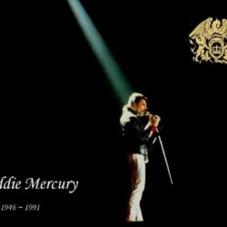 Freddie Mercury wallpapers