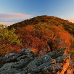 Mountain Pictures: View Image of Shenandoah National Park