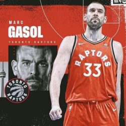 Marc Gasol Toronto Raptors wallpapers